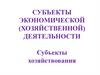 Субъекты экономической (хозяйственной) деятельности. Субъекты хозяйствования