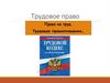 Трудовое право. Право на труд. Трудовые правоотношения