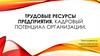 Трудовые ресурсы предприятия. Кадровый потенциал организации