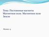 Постоянные магниты Магнитное поле. Магнитное поле Земли