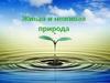 Живая и неживая природа
