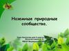Наземные природные сообщества. 6 класс