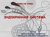 Эндокринная система