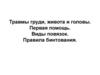 Травмы груди, живота и головы. Первая помощь. Виды повязок. Правила бинтования