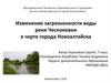 Изменение загрязненности воды реки Чесноковки в черте города Новоалтайска