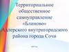 Территориальное общественное самоуправление «Блиново» Адлерского внутригородского района города Сочи 2024 год
