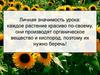 Личная значимость урока: каждое растение красиво по-своему