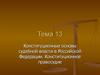 Конституционные основы судебной власти в Российской Федерации. Конституционное правосудие. Тема 13