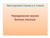 Чередование звуков. Беглые гласные. Урок русского языка в 5 классе