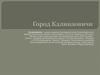 Город Калинковичи