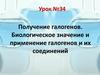 Получение галогенов. Биологическое значение и применение галогенов и их соединений. Урок №34