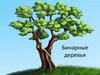 Бинарные деревья