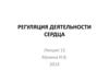 Регуляция деятельности сердца. Лекция 12