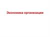 Экономика организации