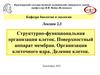 Структурно - функциональная организация клеток. Поверхностный аппарат мембран  (лекция 2,3)