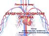 Сердечно-сосудистой система