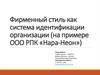 Фирменный стиль как система идентификации организации (на примере ООО РПК «Нара-Неон»)