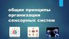 Общие принципы организации сенсорных систем