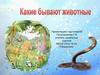 Какие бывают животные?
