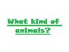 What kind of animals?