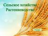 Сельское хозяйство. Растениеводство