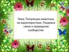 Популяции животных, их характеристики. Пищевые связи в природном сообществе