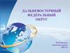 Дальневосточный федеральный округ
