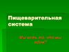 Пищеварительная система