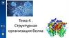 Структурная организация белка. Тема 4