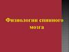 Физиологии спинного мозга  (лекция 3)