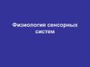 Физиология сенсорных систем