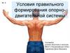 Условия правильного формирования опорно-двигательной системы
