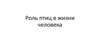 Роль птиц в жизни человека