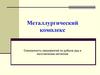 Металлургический комплекс. Совокупность предприятий по добыче руд и изготовлению металлов