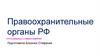 Правоохранительные органы РФ