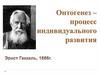 Онтогенез – процесс индивидуального развития