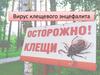 Вирус клещевого энцефалита