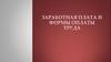 Заработная плата и формы оплаты труда