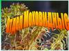 Отдел Моховидные