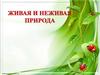 Живая и неживая природа
