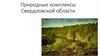 Природные комплексы Свердловской области