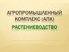 Агропромышленный комплекс (АПК). Растениеводство
