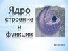 Ядро. Строение и функции
