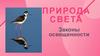 Природа света. Законы освещенности