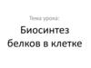 Биосинтез белков в клетке