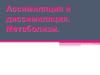 Ассимиляция и диссимиляция. Метаболизм. Схема обмена веществ