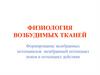 Физиология возбудимых тканей. Формирование мембранных потенциалов: мембранный потенциал покоя и потенциал действия