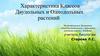 Характеристика классов двудольных и однодольных растений