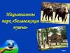 Нацыянальны парк «Белавежская пушча»