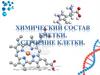 Химический состав клетки. Строение клетки
